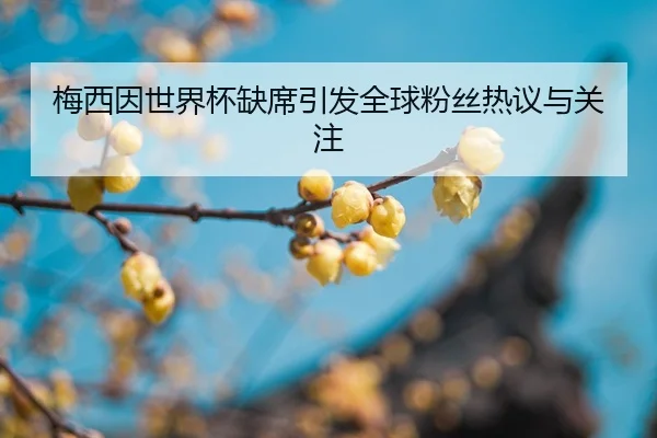 mei-xi-yin-shi-jie-bei-que-xi-yin-fa-quan-qiu-fen-si-re-yi-yu-guan-zhu-2-575.jpg